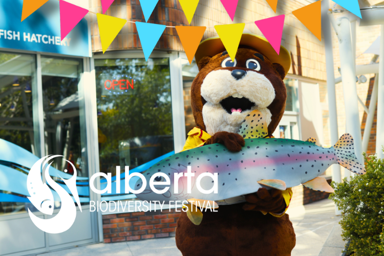 Beaver necessities for responsible recreation