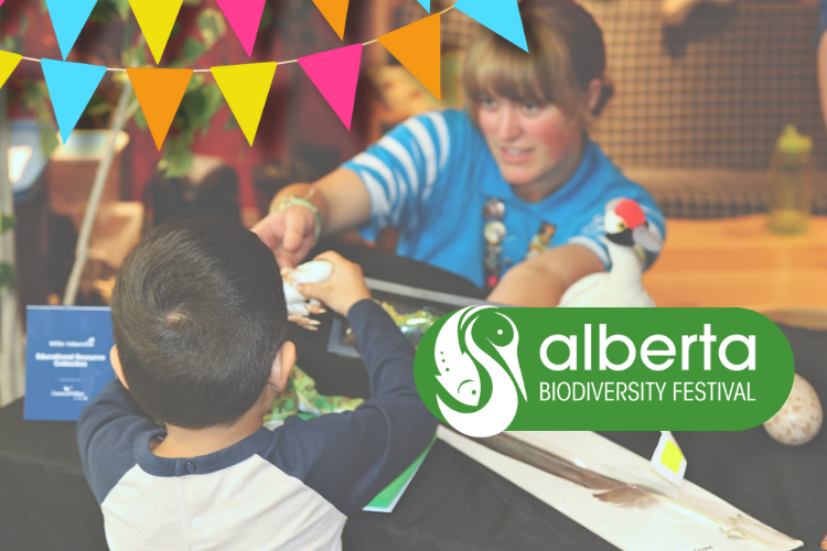 Connecting with Alberta's Forests