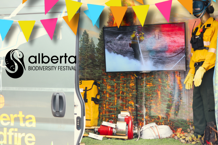 Protecting our Forests