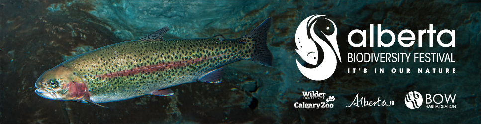 Alberta Biodiversity Festival