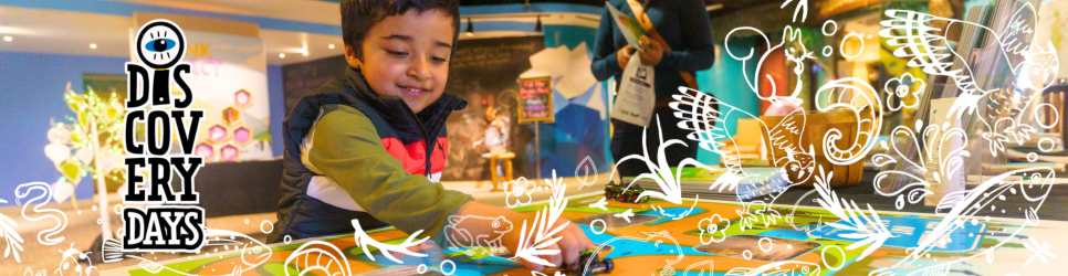 Disscovery days