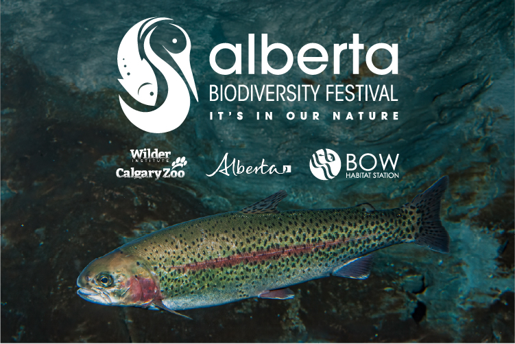 Alberta Biodiversity Festival