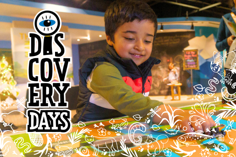 Discovery Days