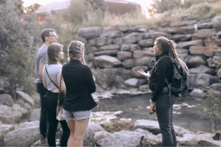 Where Fish Meets Forest Nature Walk